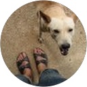 Min Woo profile picture